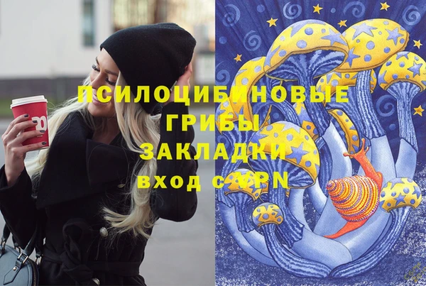 героин Алзамай