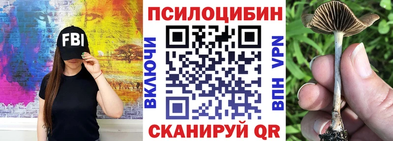 купить наркотик  shop наркотические препараты  Галлюциногенные грибы Psilocybine cubensis  Котовск 