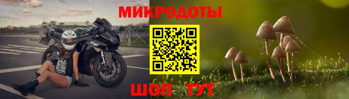 Котовск  Псилоцибиновые грибы прущие грибы  Вход с VPN 
