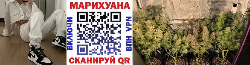 хочу наркоту  Котовск  Каннабис Amnesia 