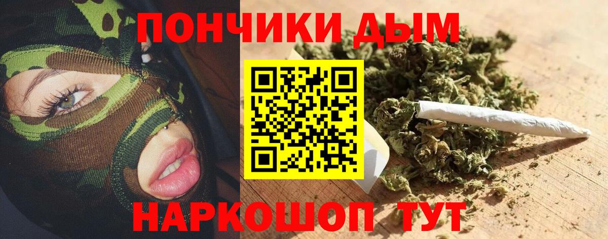 Каннабис ГИДРОПОН Котовск